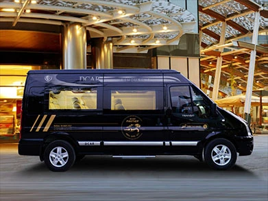 Ford D-car Limousine