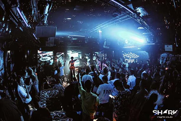 Shark Club